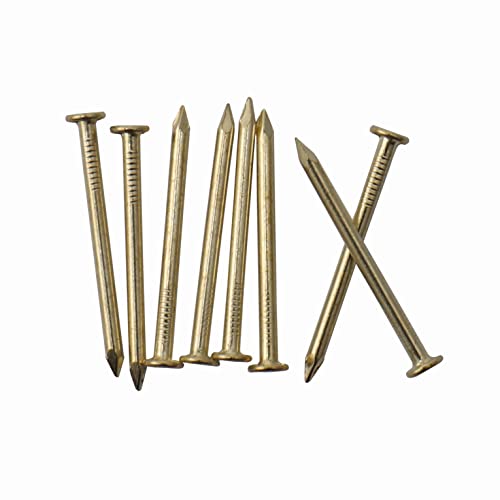 550Pcs Clous en Matériel Doré, Clous en Bois Plaqués Laiton de 1” × 16 Ga, Clous pour Accrocher des Photos, Clous de Finition, Clous pour Accrocher des Images, Petits Clous, Clous de Toiture (1 Pouce)  | Fixations regroupées Fixations Fixations regroupées