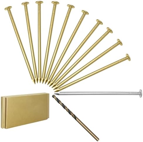 Kit d’assortiment de clous en matériel, 12 pièces de 4 pouces de long avec des clous en acier, clous à tête plate en matériel (1 mm), plaqué laiton doré, longs clous pour bois/structure/plâtre et cloison sèche/ébénisterie/décoration.  | Ongles Fixations Ongles